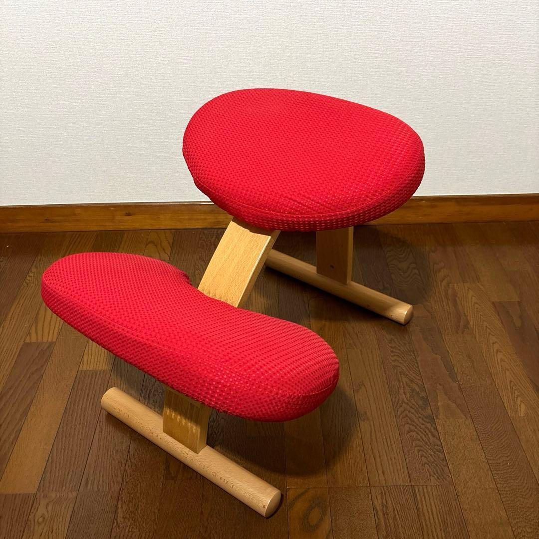 【極美品】 バランスイージー レッド 通常フレーム 防水カバー付き