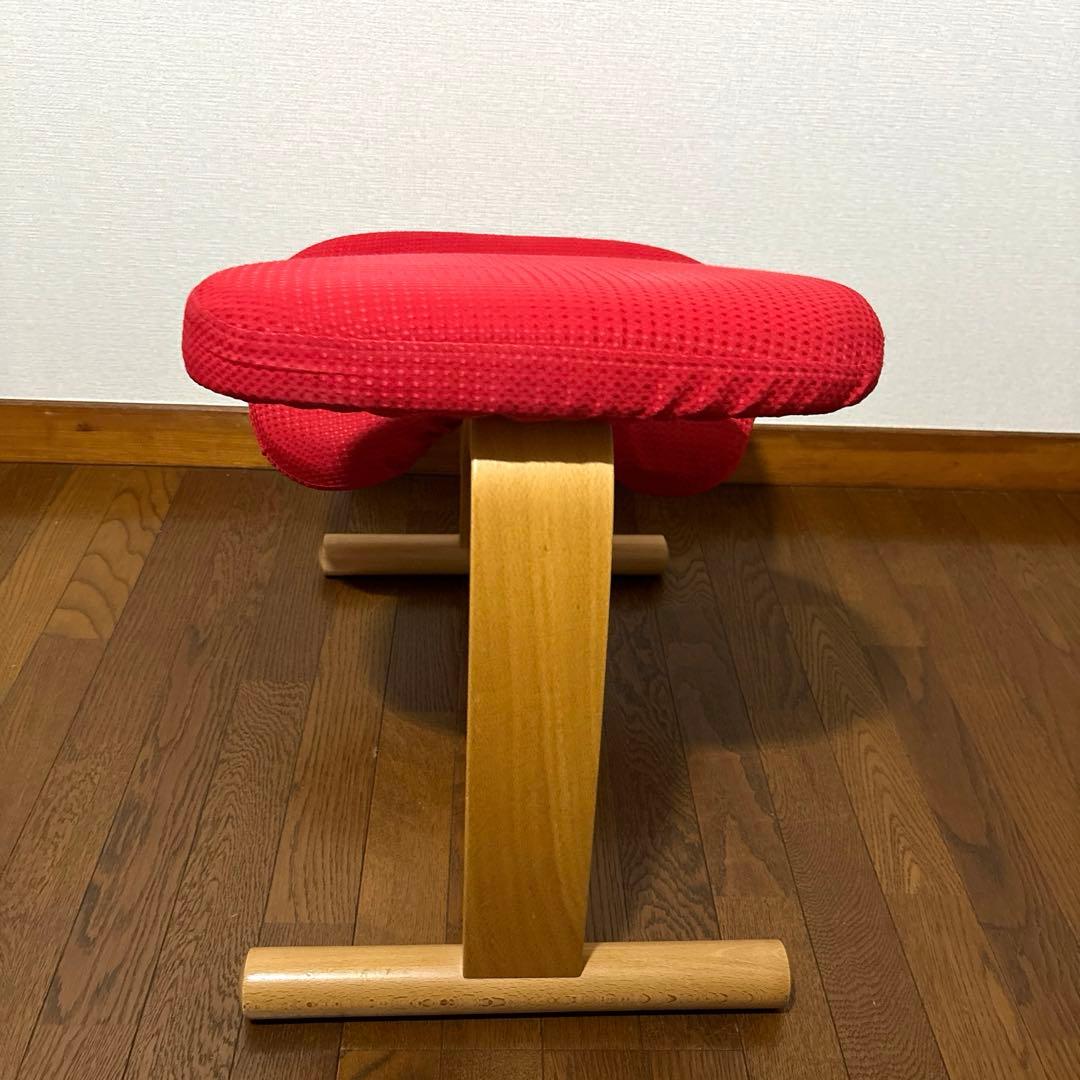 【極美品】 バランスイージー レッド 通常フレーム 防水カバー付き