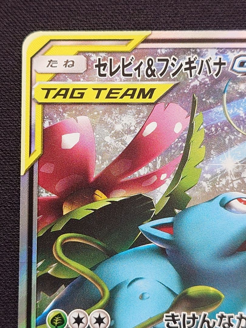 セレビィ＆フシギバナGX　SA　SR　スペシャルアート