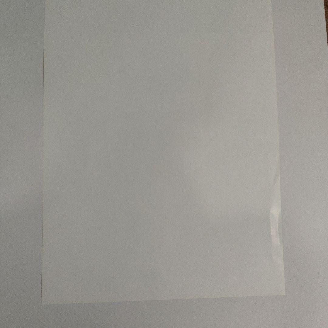 希少品　 2025-26 ポスター宮浦選手直筆サイン入りウルフドッグス