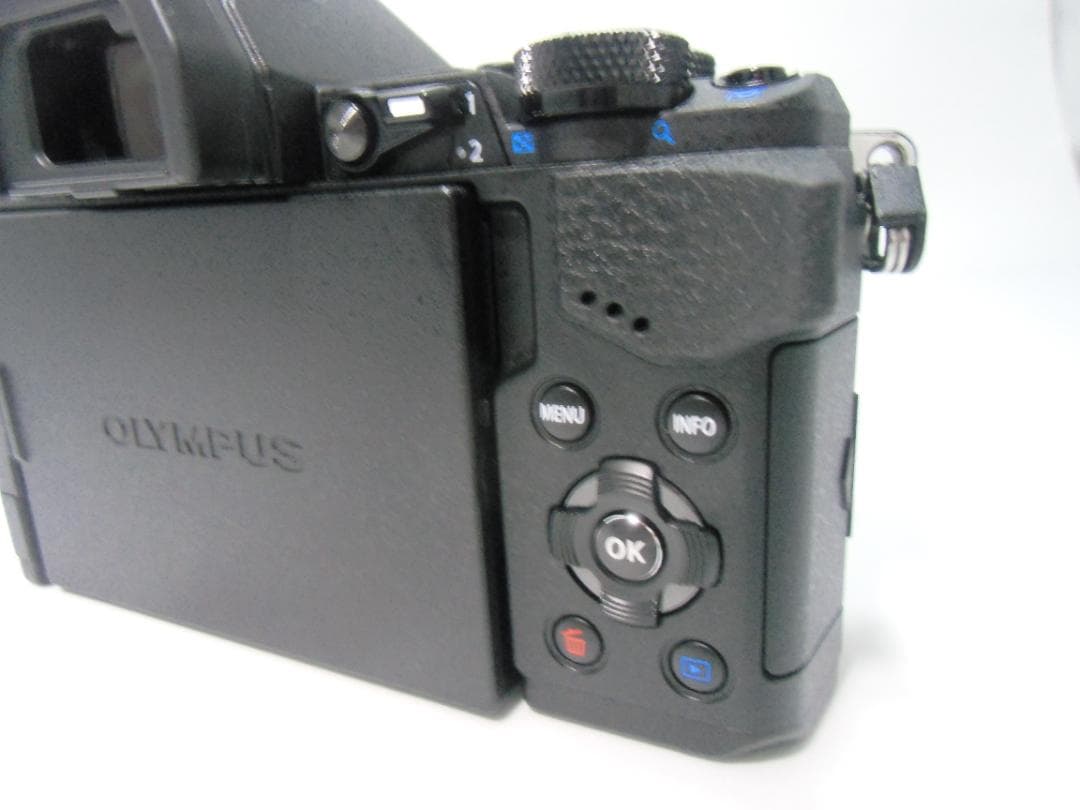 OLYMPUS OM-D E-M5 MarkⅡ　B054