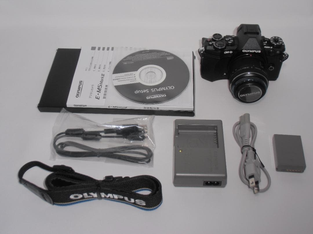 OLYMPUS OM-D E-M5 MarkⅡ　B054
