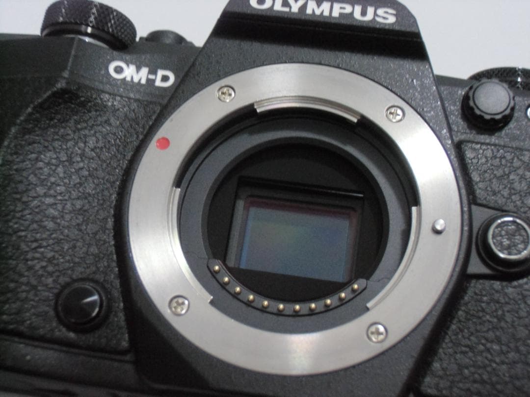 OLYMPUS OM-D E-M5 MarkⅡ　B054