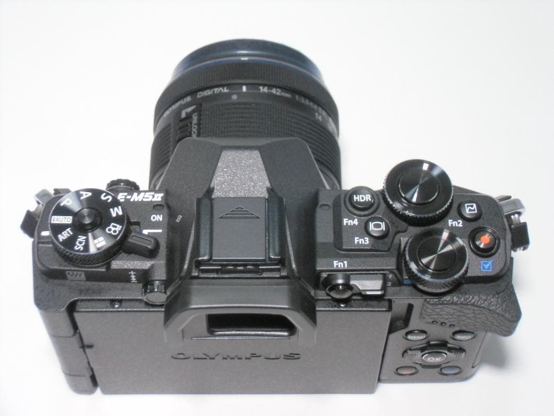 OLYMPUS OM-D E-M5 MarkⅡ　B054