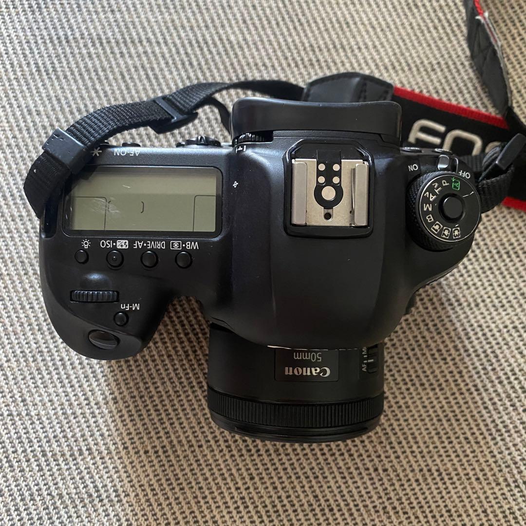 「松山専用」Canon EOS 5D Mark IV + 50mmレンズ