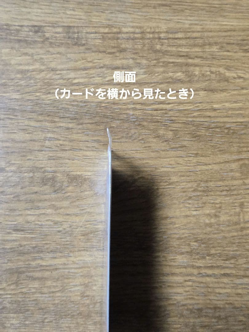 ポケパークのアチャモ プロモ 047/PCG-P ポケモンカード