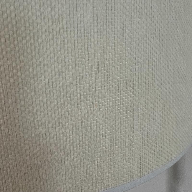 アメリカで購入 フロアランプ スタンド ライト 高さ調整可能