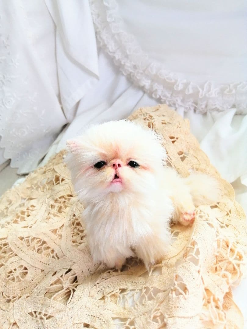 ふにゃっくた♡ベビサイズ♡子猫ちゃん♡アートドール♡ぬいぐるみ♡