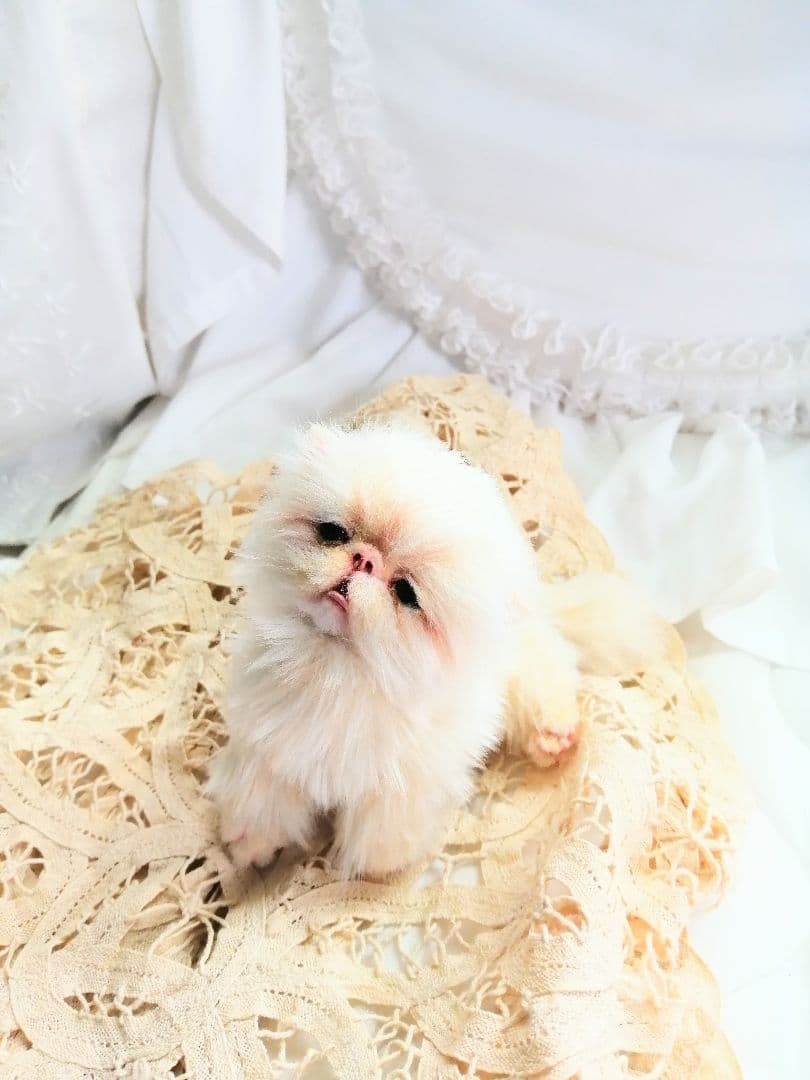 ふにゃっくた♡ベビサイズ♡子猫ちゃん♡アートドール♡ぬいぐるみ♡