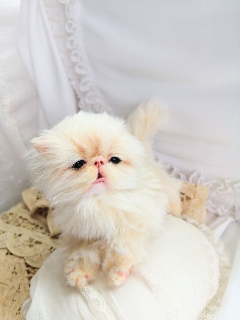 ふにゃっくた♡ベビサイズ♡子猫ちゃん♡アートドール♡ぬいぐるみ♡