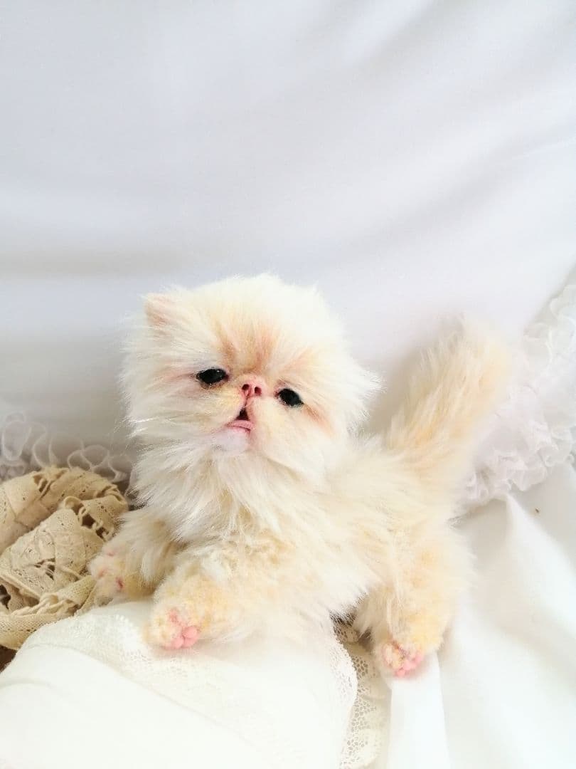 ふにゃっくた♡ベビサイズ♡子猫ちゃん♡アートドール♡ぬいぐるみ♡