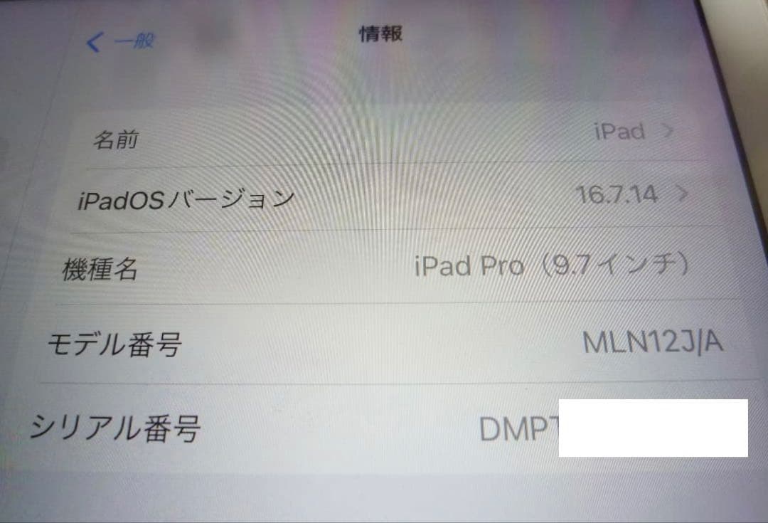 Apple iPad Pro 250GB本体 スマートカバー付き