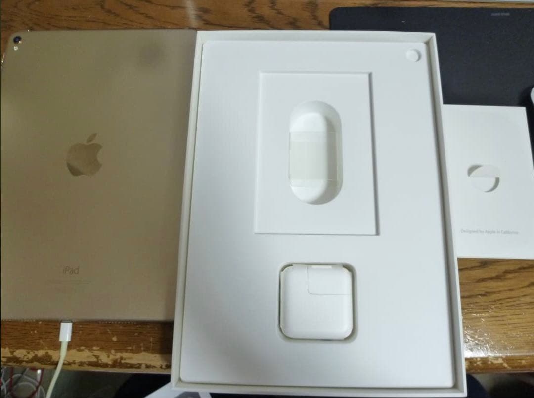 Apple iPad Pro 250GB本体 スマートカバー付き