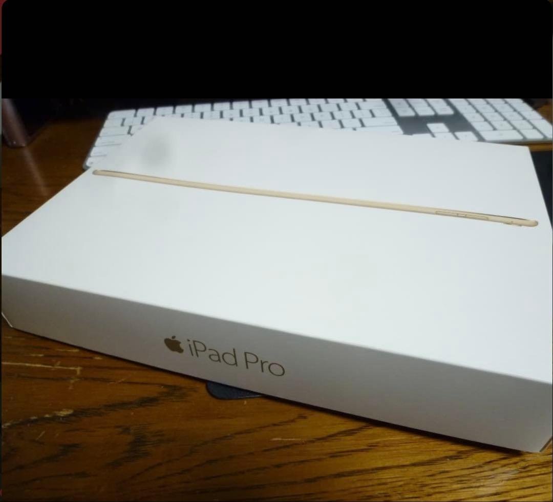 Apple iPad Pro 250GB本体 スマートカバー付き