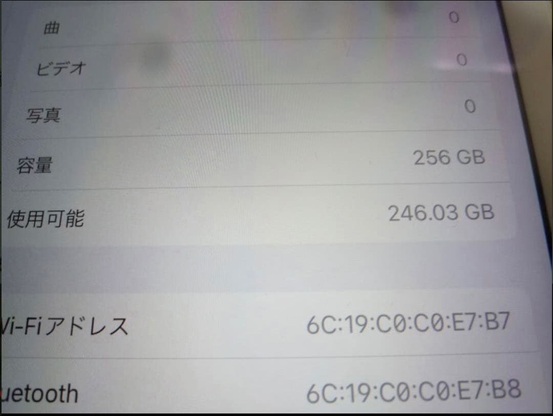 Apple iPad Pro 250GB本体 スマートカバー付き