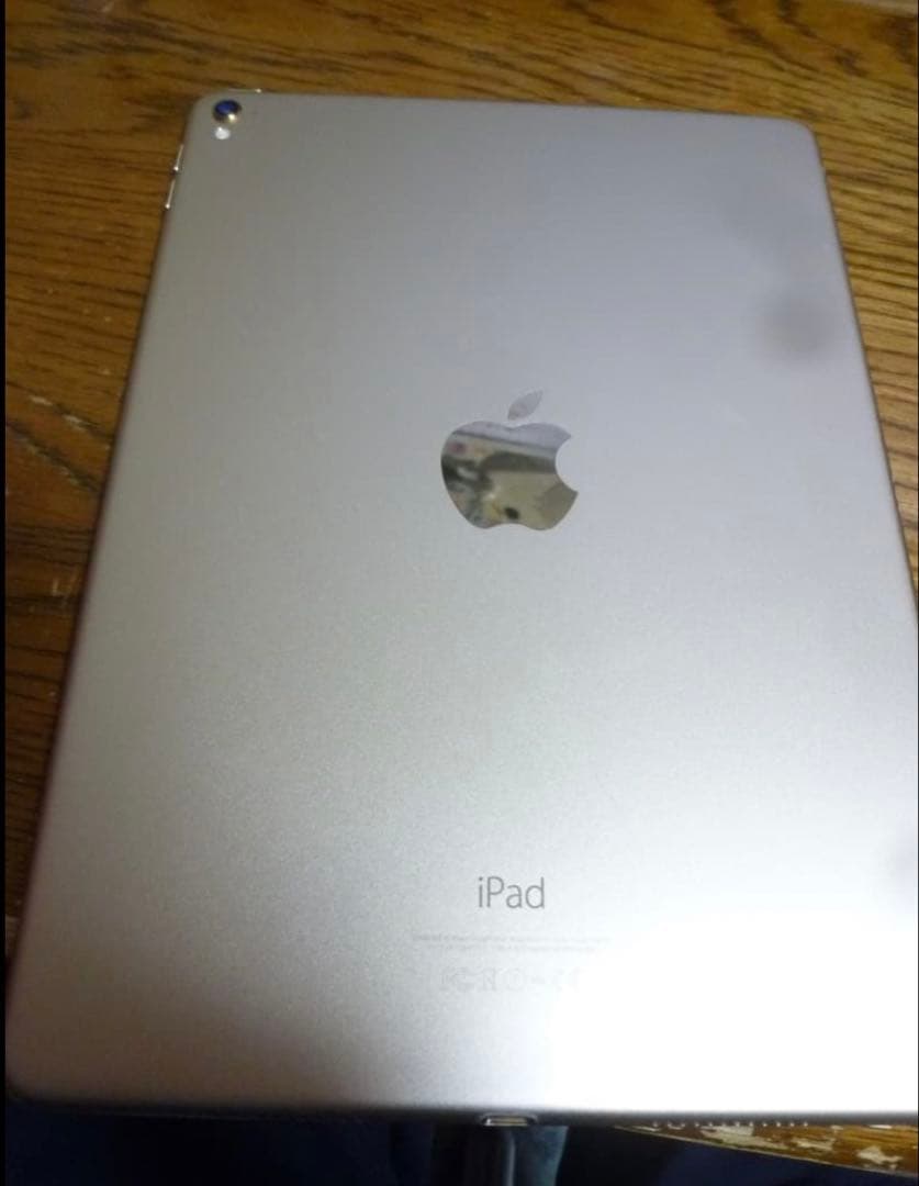 Apple iPad Pro 250GB本体 スマートカバー付き