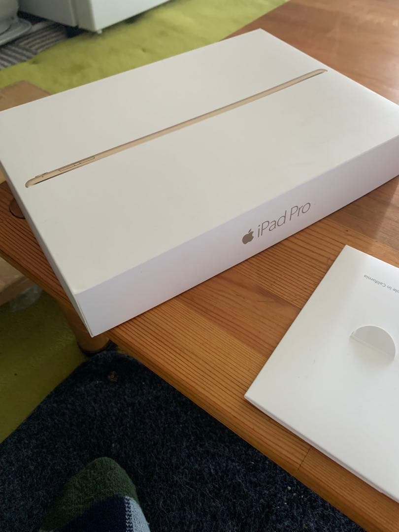 Apple iPad Pro 250GB本体 スマートカバー付き