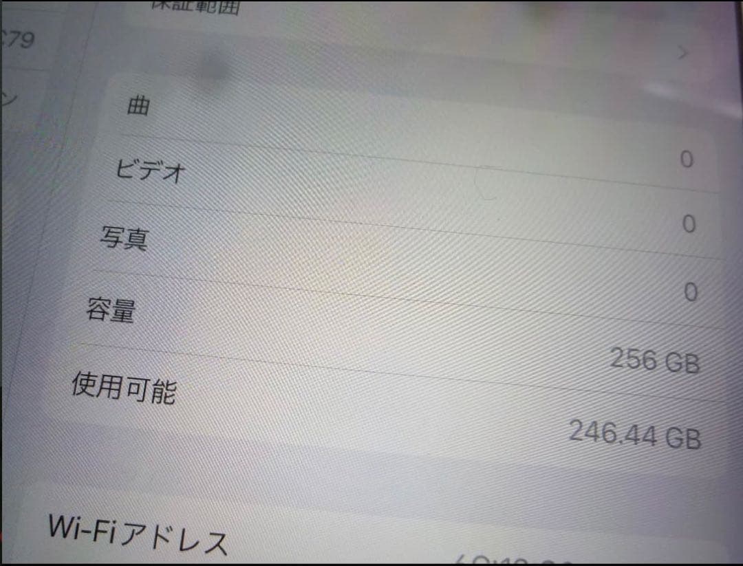 Apple iPad Pro 250GB本体 スマートカバー付き