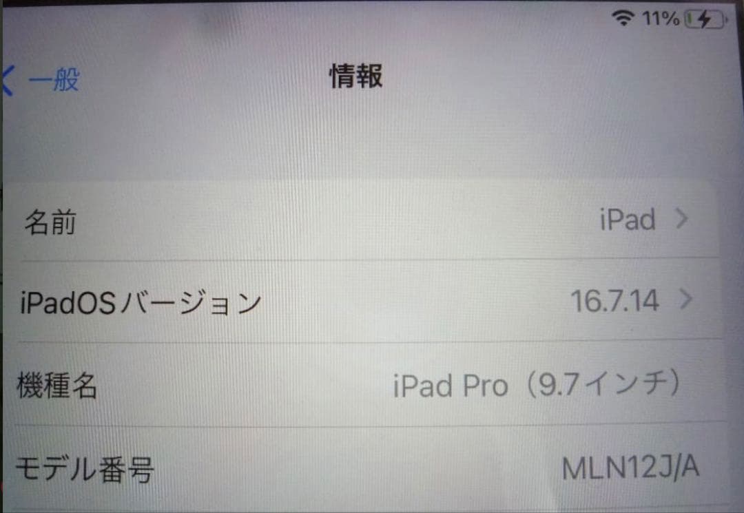Apple iPad Pro 250GB本体 スマートカバー付き