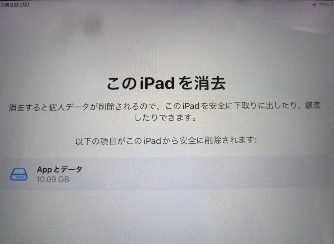 Apple iPad Pro 250GB本体 スマートカバー付き