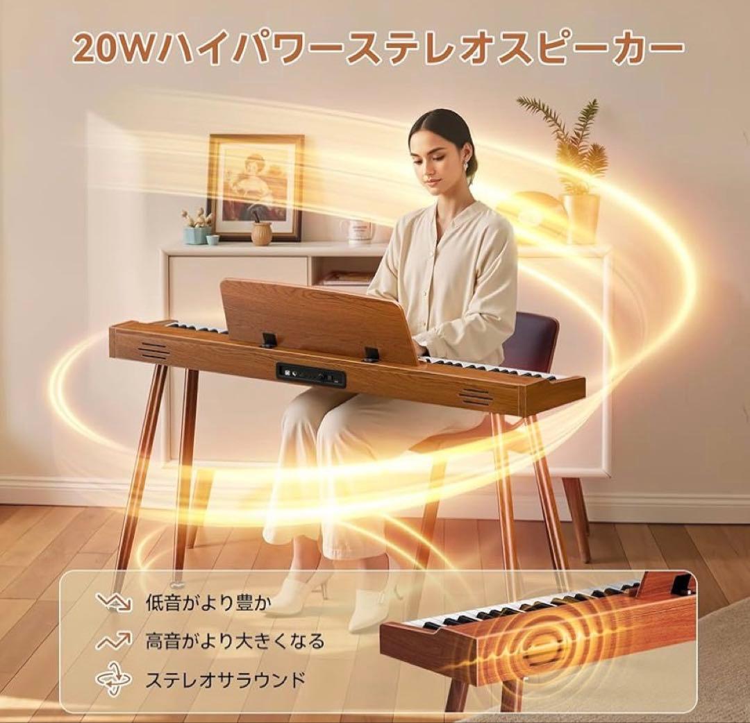 TERENCE 電子ピアノ 88鍵 カウンターウェイト鍵盤 木製 マイク 246