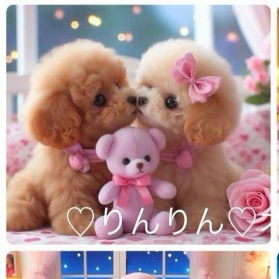 トイプードルとテディベアパネル生地　ハンドメイド