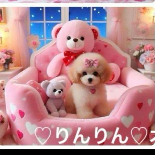 トイプードルとテディベアパネル生地　ハンドメイド