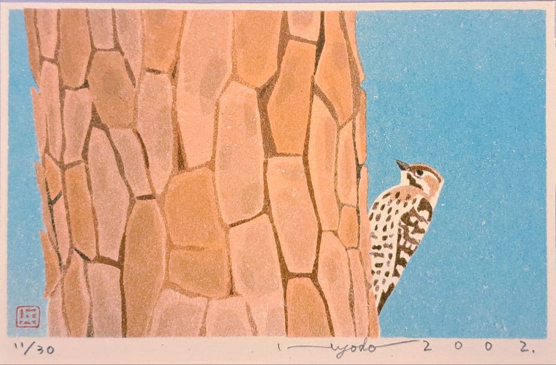 コゲラ (紙版画/限定30枚)