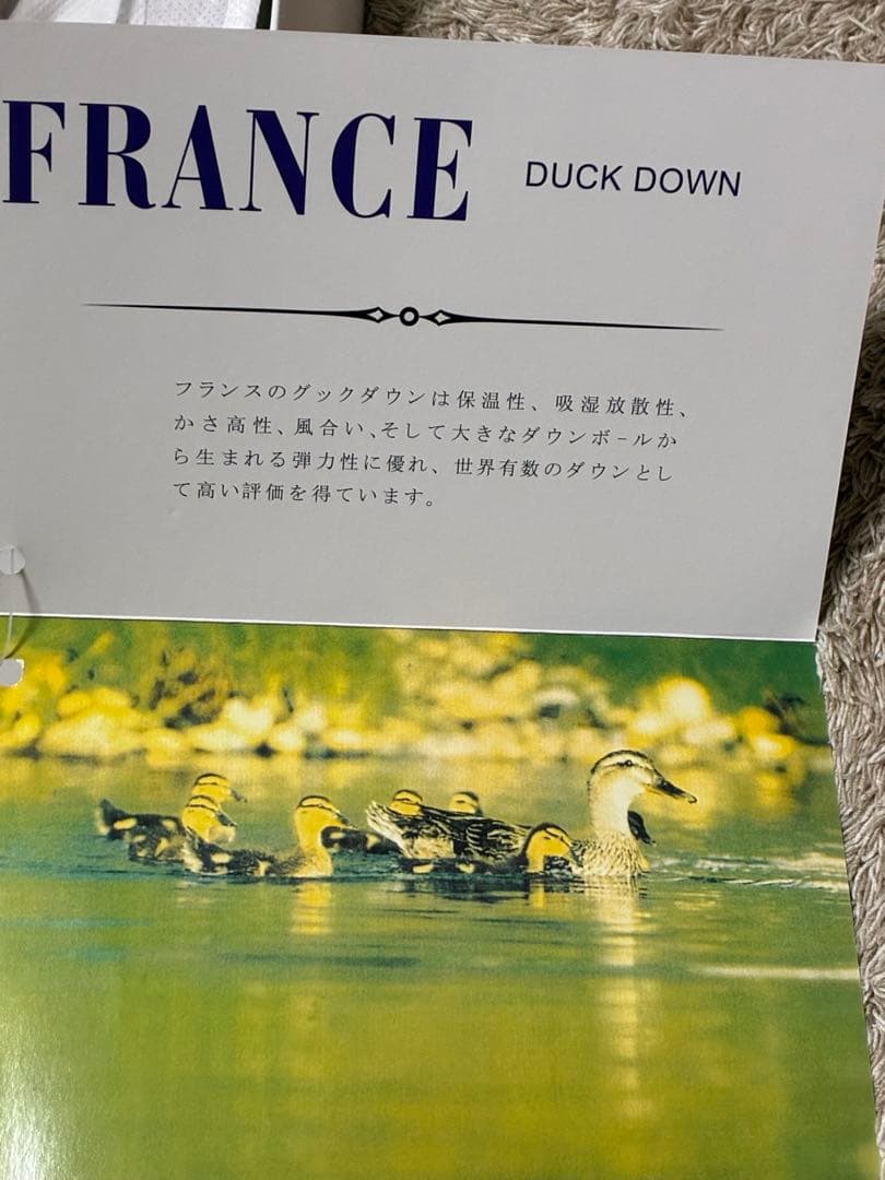 羽毛肌掛け布団　フランス産　ダックダウン　ウォッシャブル