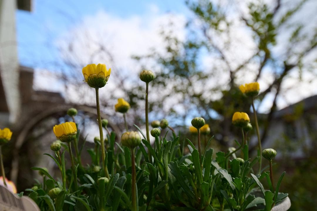 良品 Nikon AF-S NIKKOR 16-35mm F4G ED VR