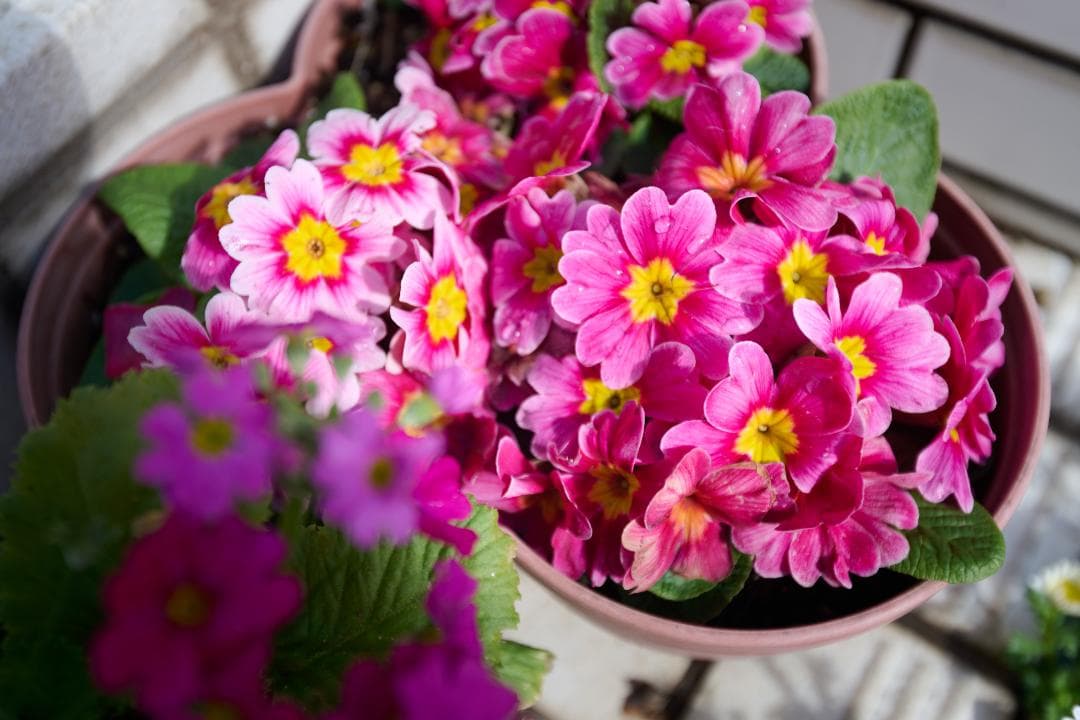 良品 Nikon AF-S NIKKOR 16-35mm F4G ED VR