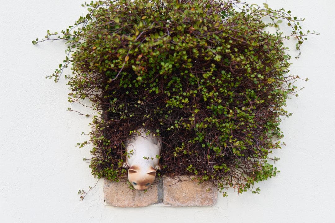 良品 Nikon AF-S NIKKOR 16-35mm F4G ED VR