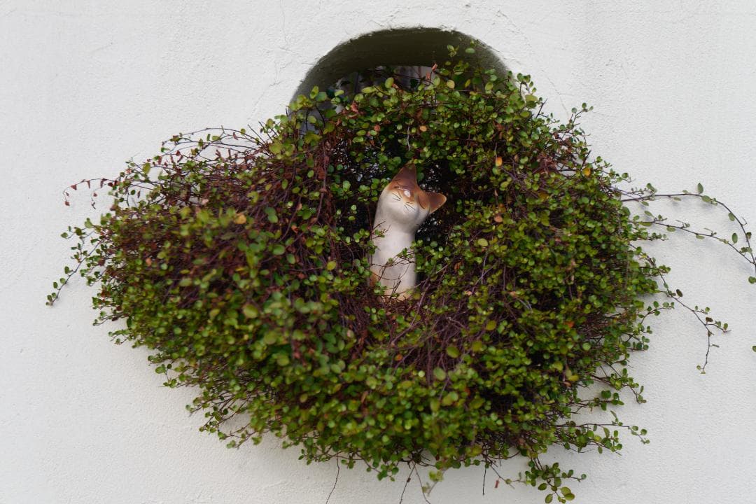 良品 Nikon AF-S NIKKOR 16-35mm F4G ED VR