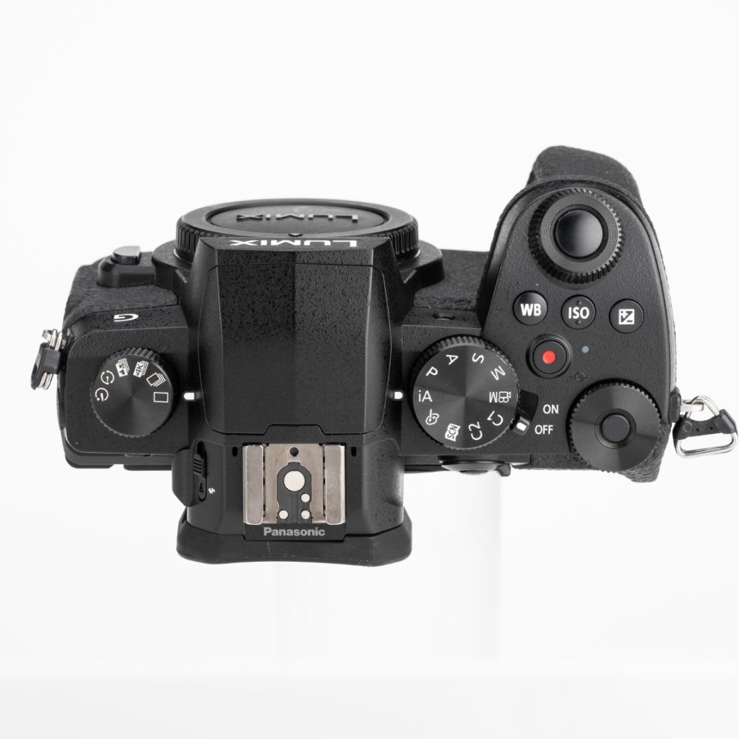 ★美品★PanasonicパナソニックLUMIX DC-G99ボディ 付属品完備