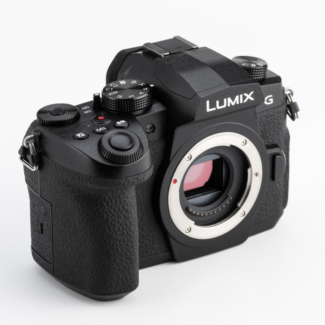 ★美品★PanasonicパナソニックLUMIX DC-G99ボディ 付属品完備