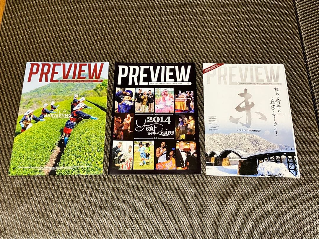 【超レア】2013年日米親善デー記念パッケージ★パンフレット／記念などなど