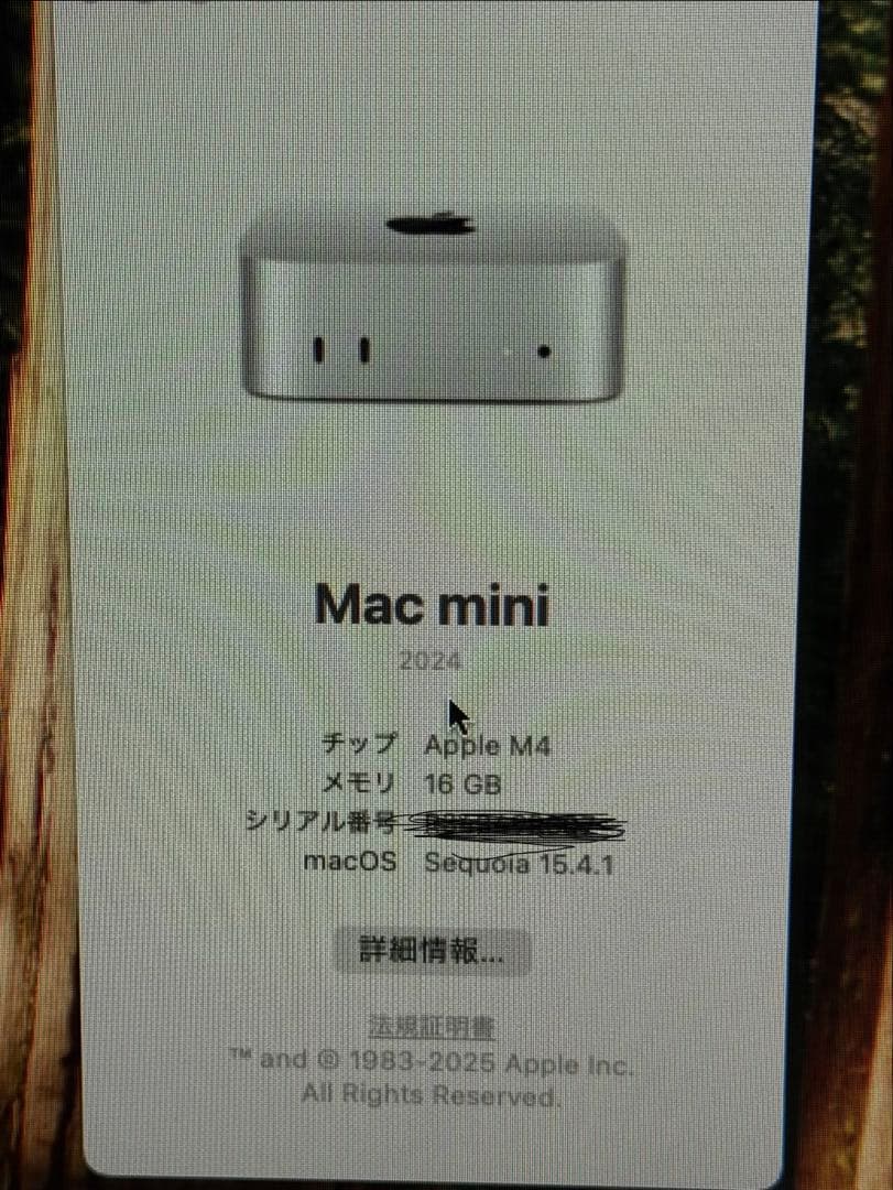Mac mini 16GB 256GB Keyboard Mouse2 等セット