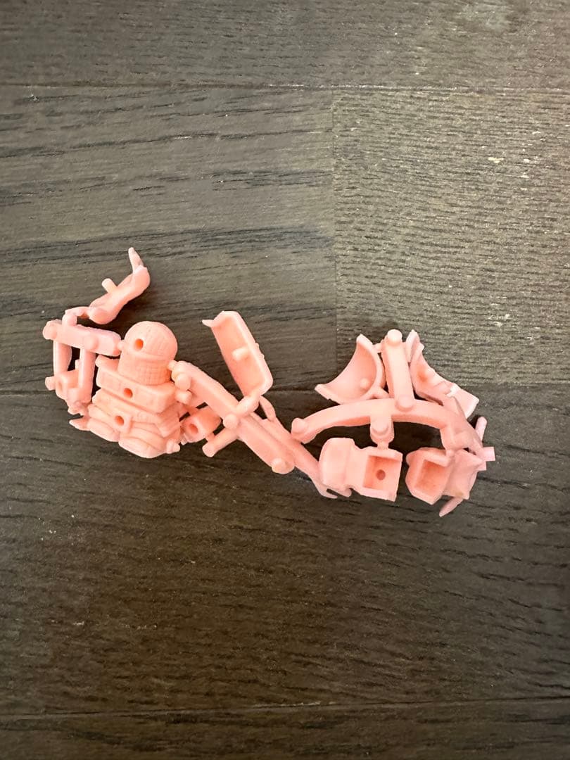 ス*ン様 SDガンダム 未切り 肌色ハイグレード 2弾 バーサル騎士ガンダム ガ