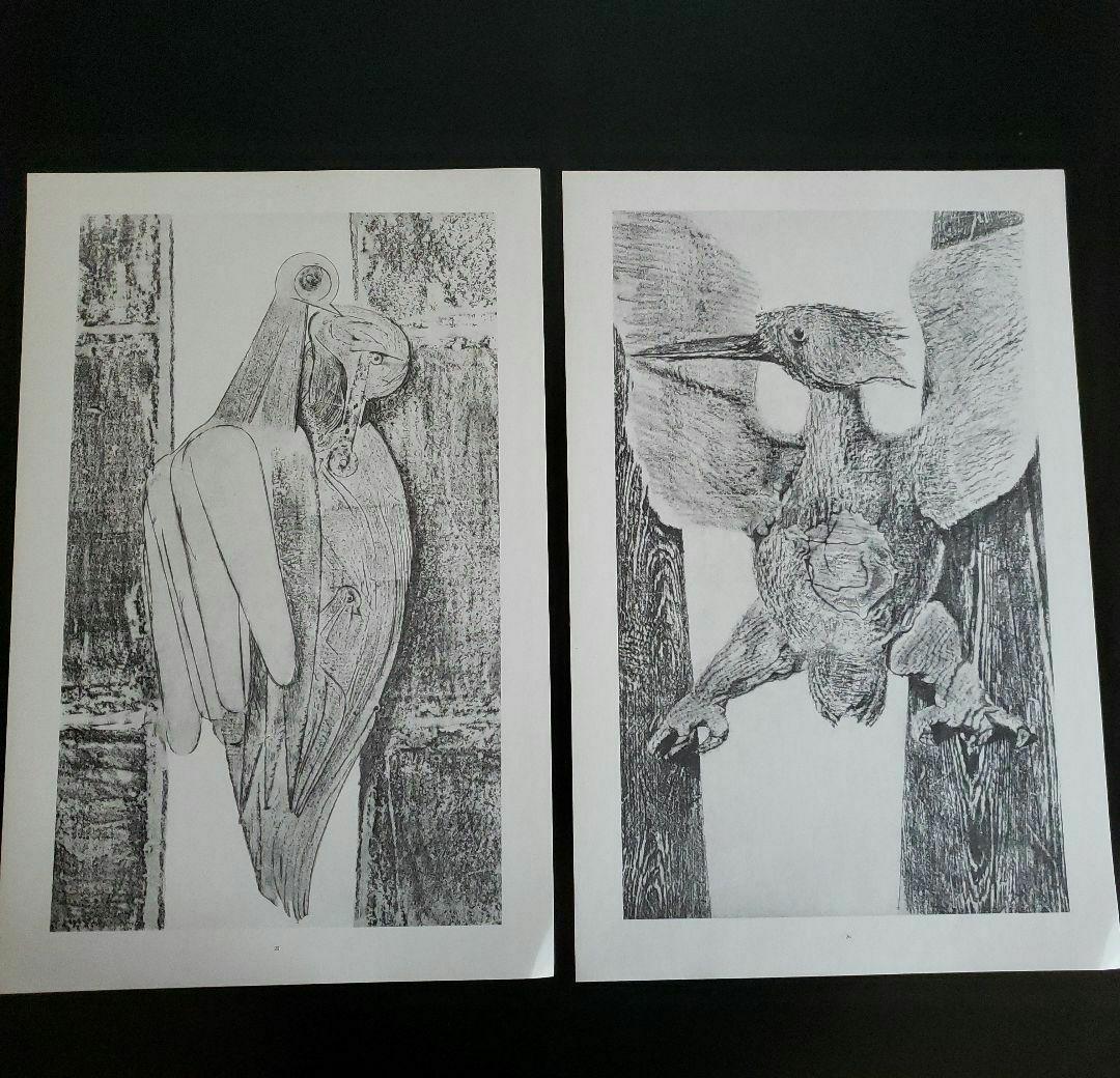 Max Ernst histoire naturelle　博物誌