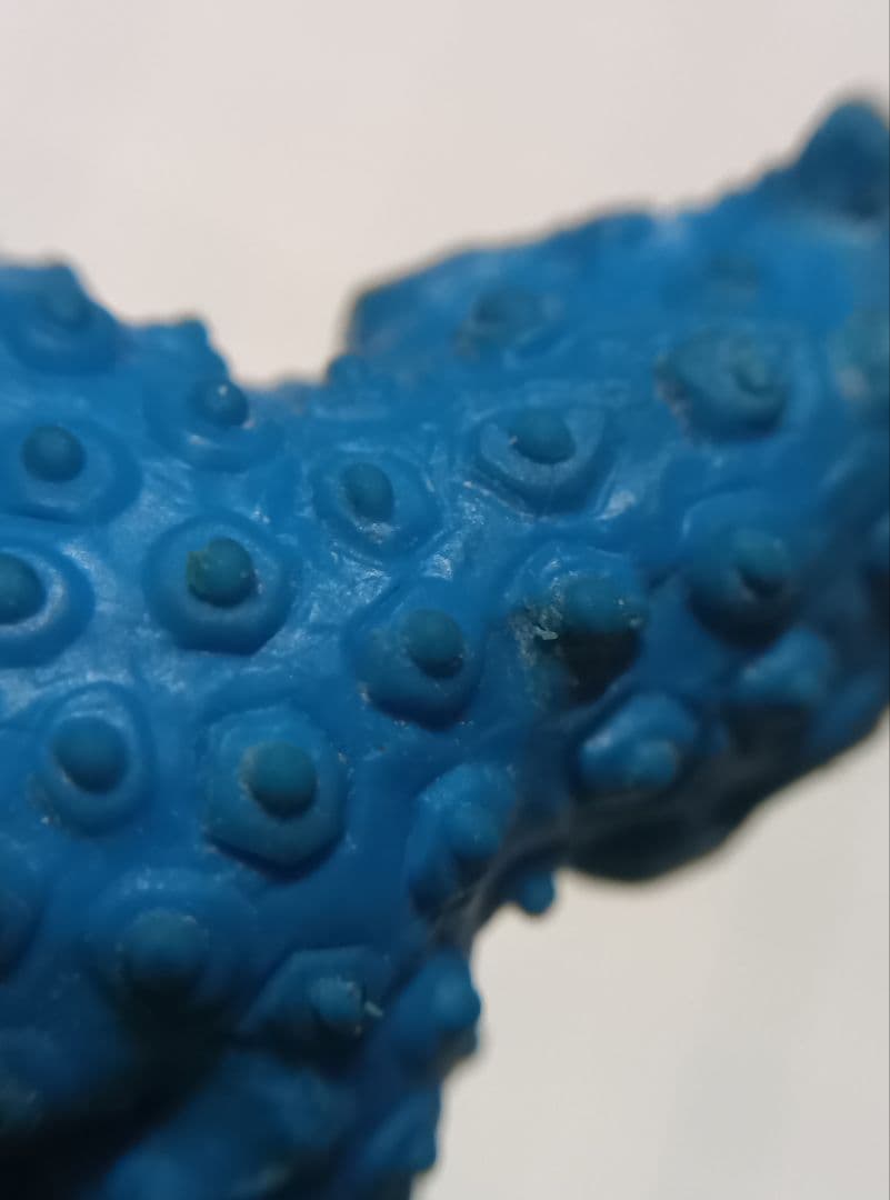 怪獣　消しゴム　ピーター　難有り　フィギュア　昭和　レトロ　円谷