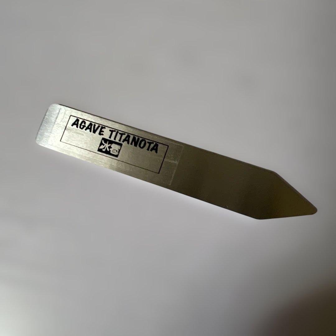 アガベ 鉢植発送 冰雹ブツブツ系 極上血統 超特選 スペシャル個体