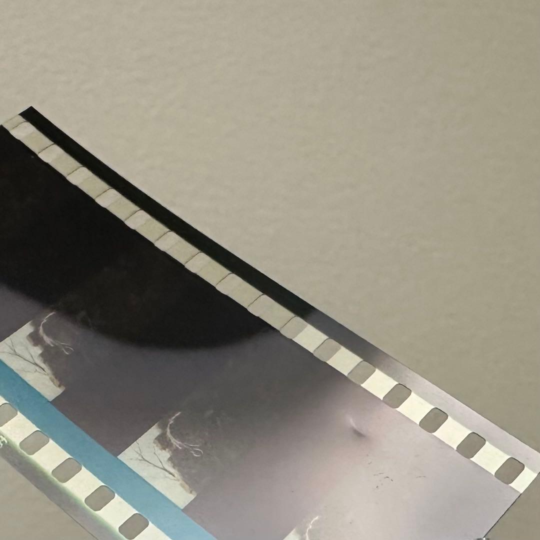劇場版ヴァイオレット・エヴァーガーデン　入場者特典　フィルム
