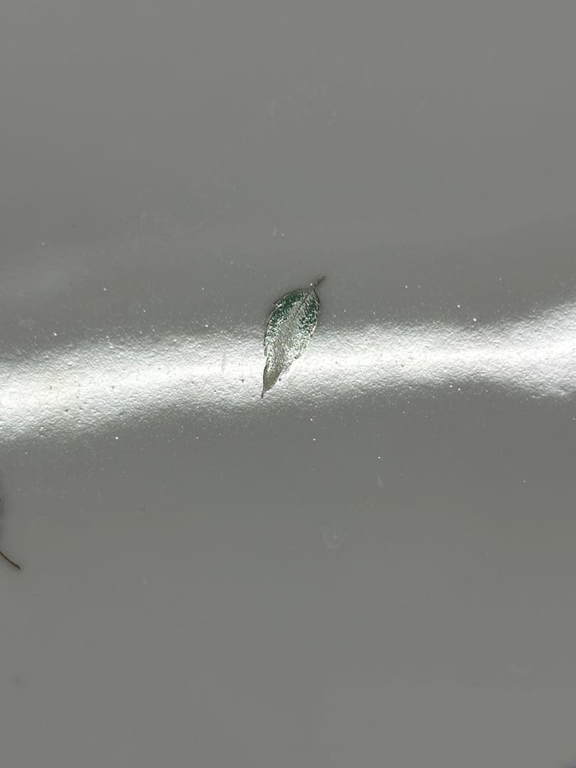 【USED】Richard Ginori イタリアンフルーツ　ケーキプレート