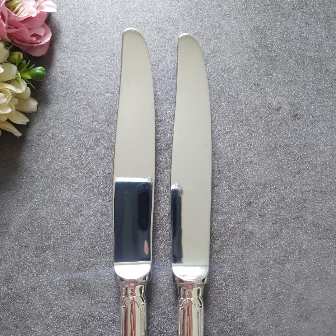 希少 クリストフル リュバン スタンダードナイフ 2点