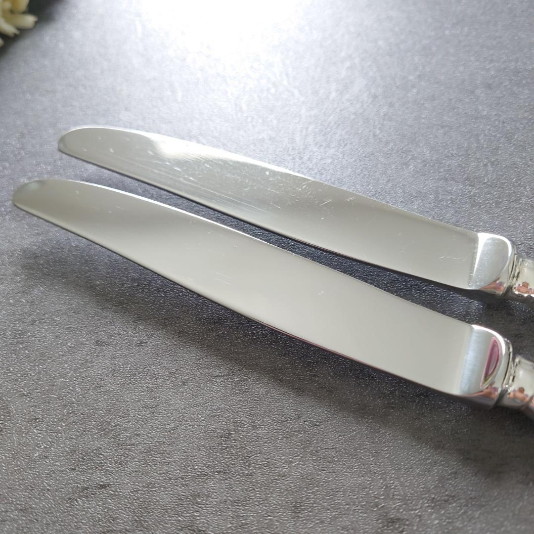 希少 クリストフル リュバン スタンダードナイフ 2点