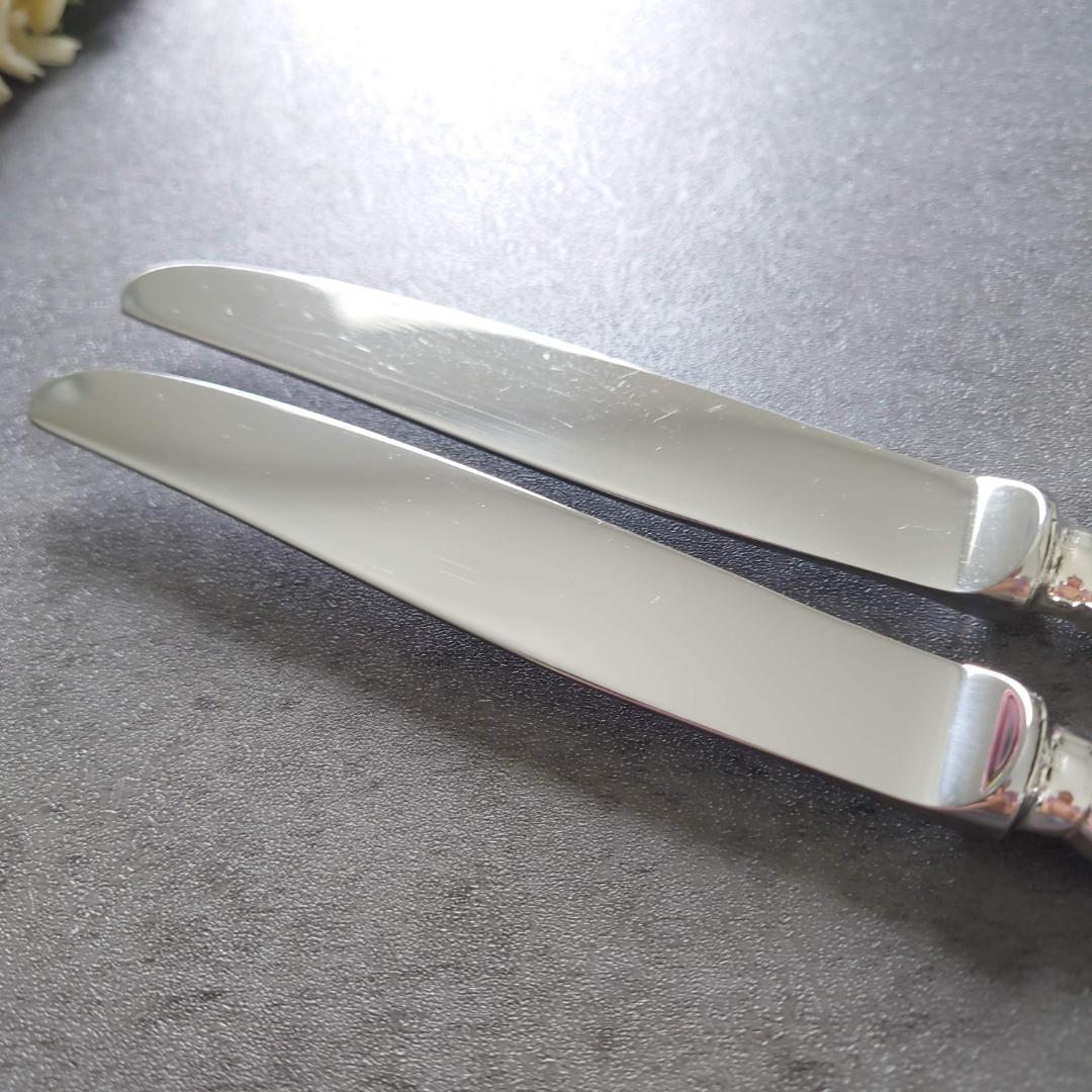 希少 クリストフル リュバン スタンダードナイフ 2点