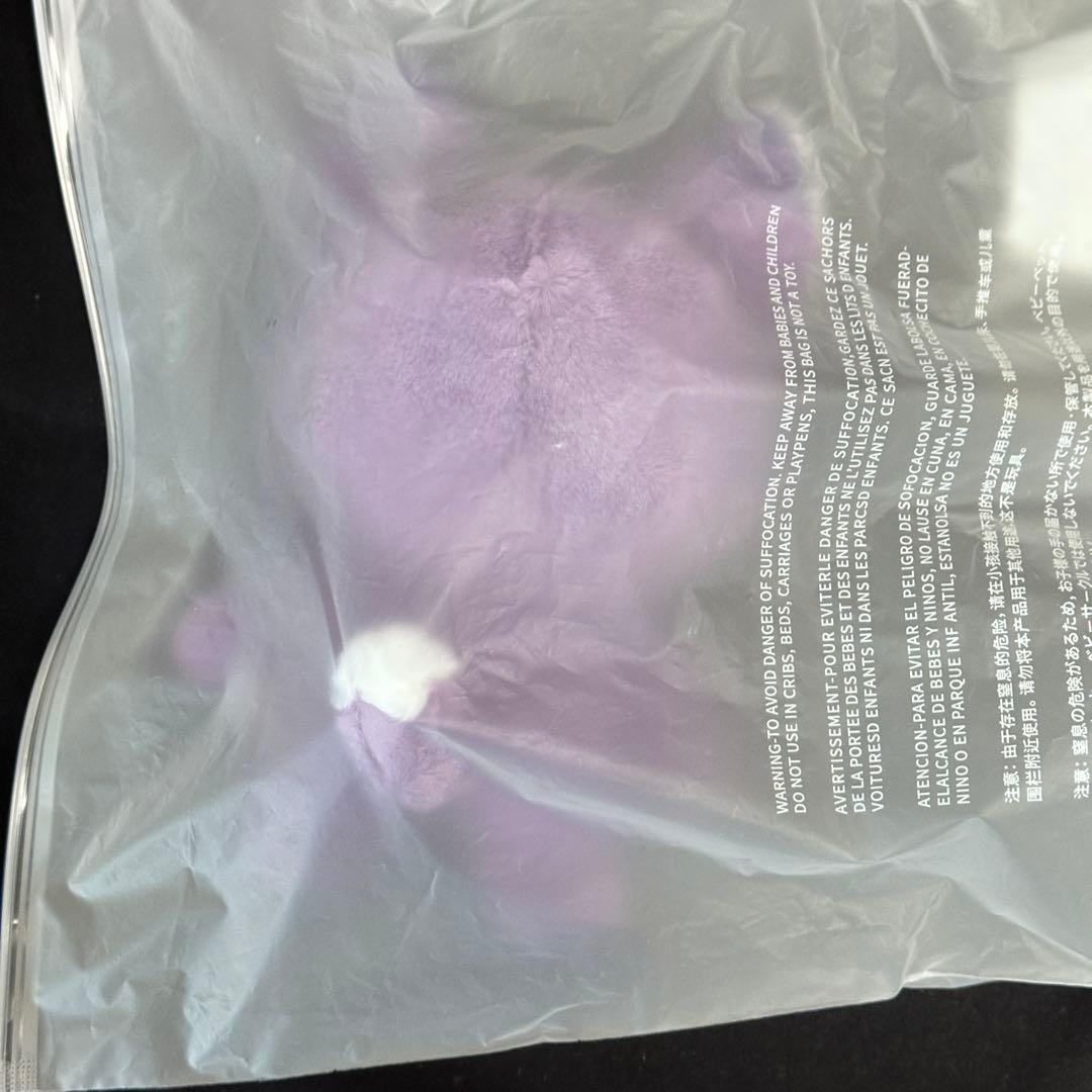 セブチ　ぬいぐるみ miniteen ウォヌ　FOXDUNGEE