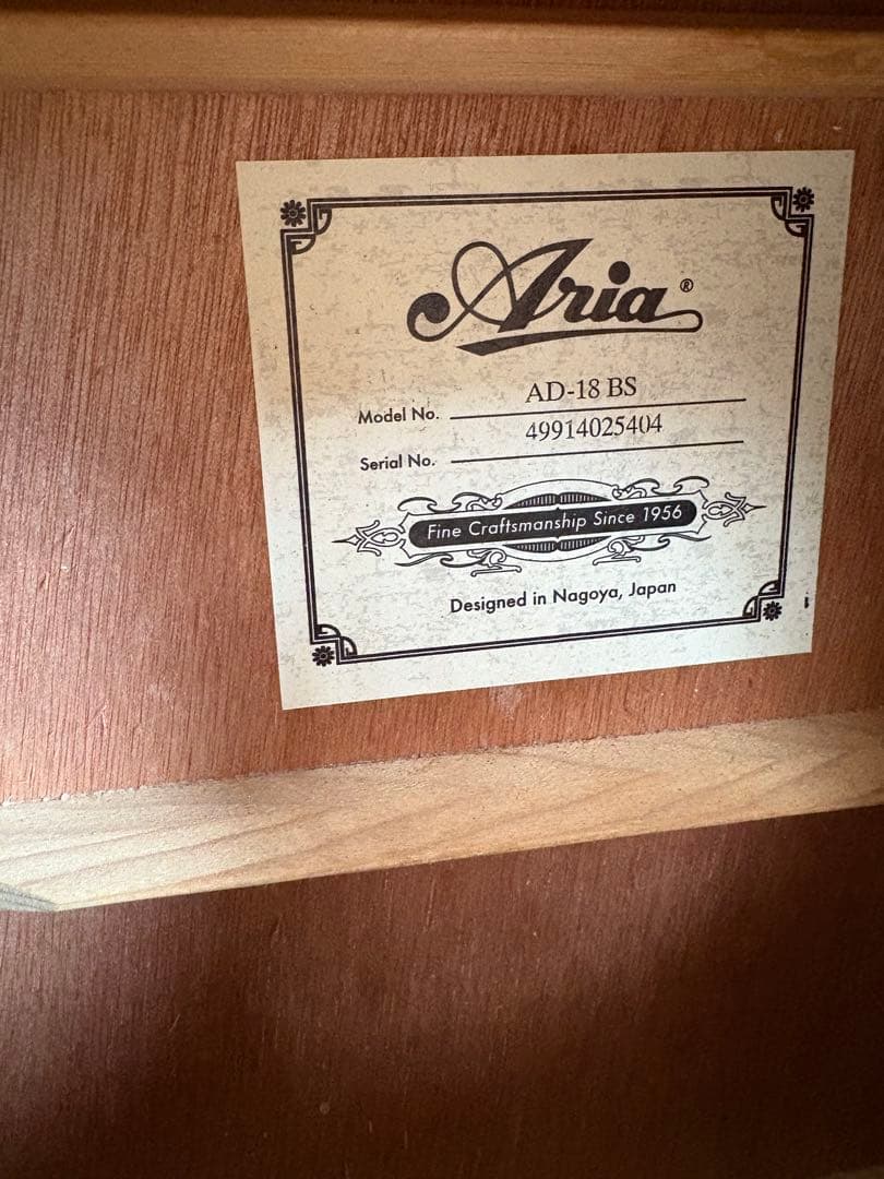 Aria AD-18BS アースティックギター　ソフトケース付き