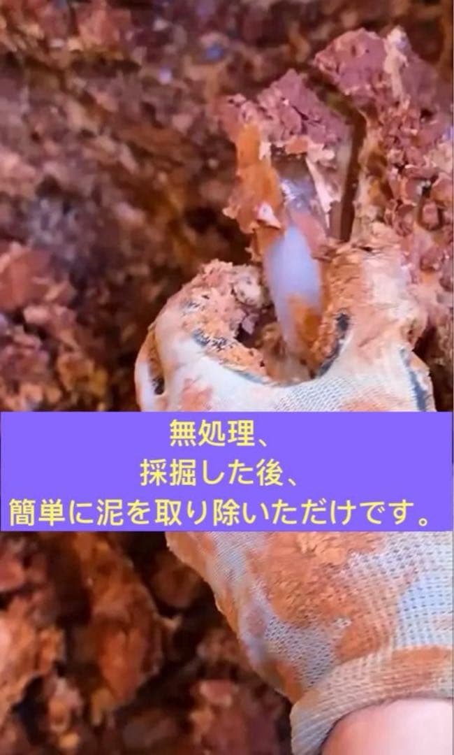 無処理　原石鉱石　ブラジル産　アメジスト　浄化　置物インテリア　540g