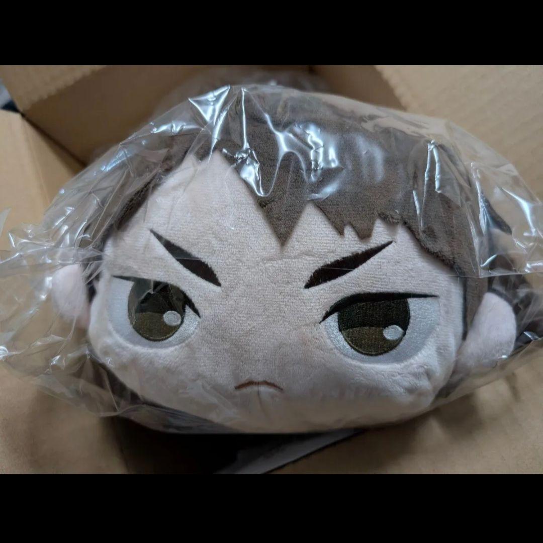 ハイキュー！！ ぽてコロマスコットBIG2 C 牛島 若利　集英社